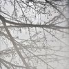 anna_spitzr